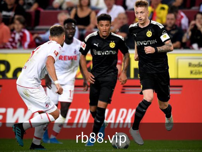 rb88.vip·(中国区)官方网站